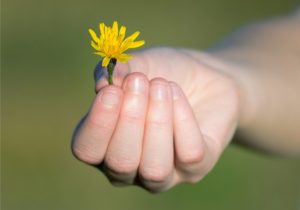 Hand Gift Flower Joy Love Gratitude Peace