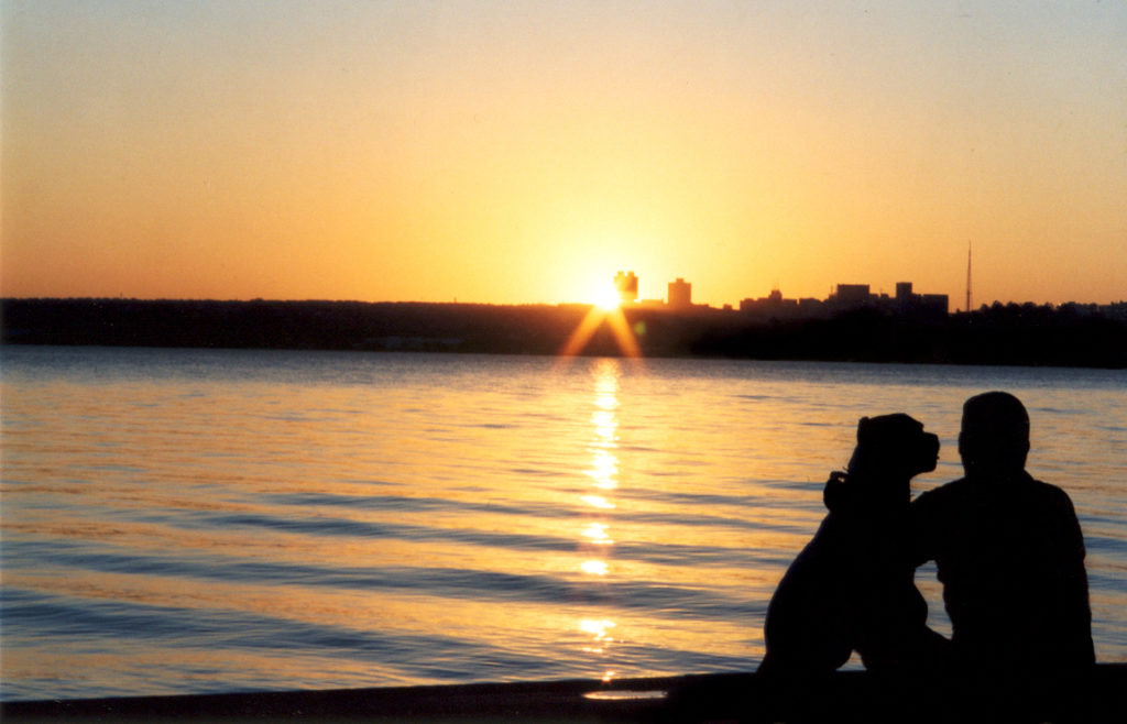 Improve Your Mental Health with Pets, Man and Dog Enjoying a Sunrise