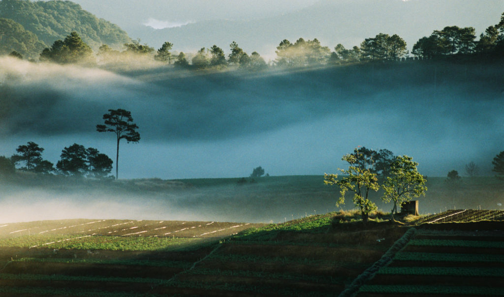 Manage Depression Inspirational Early Sunrays