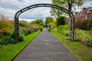 Mindfulness in the Belfast Botanic Gardens